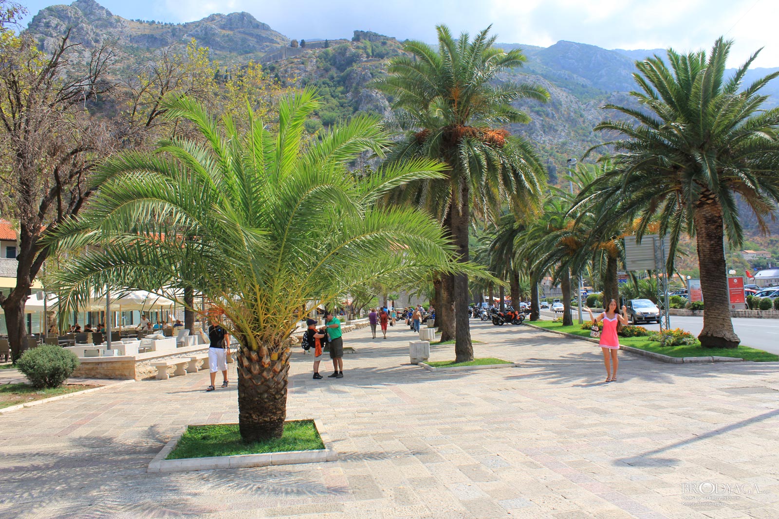 Kotor